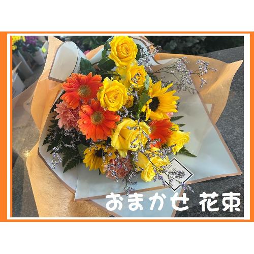 �K*�B�C�G���[�I�����W���܂����ԑ��K*�B