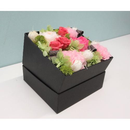 �i�`�������{�b�N�X2