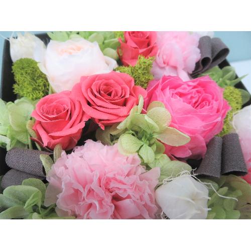�i�`�������{�b�N�X3