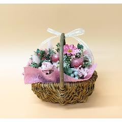 �t�����{���[�Y�o�X�P�b�g