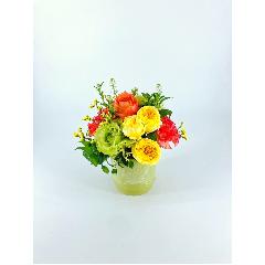 Vivid �|�r�r�b�h�| �I�����W�C�G���[�y�r�z