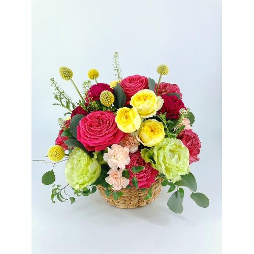 �p���b�g
