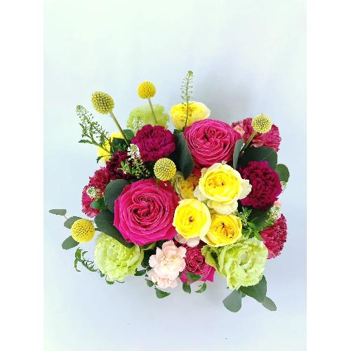�p���b�g3