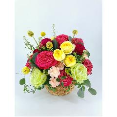 �p���b�g
