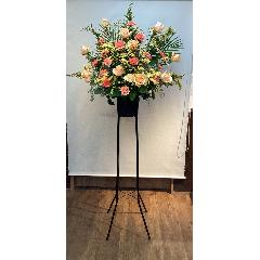 �C�G���[�E�I�����W�ȃX�^���h�ԂP�i