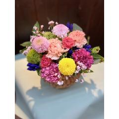 �y�h�V�̓��ɂ������߁z�a���_���A�����W�@L�T�C�Y