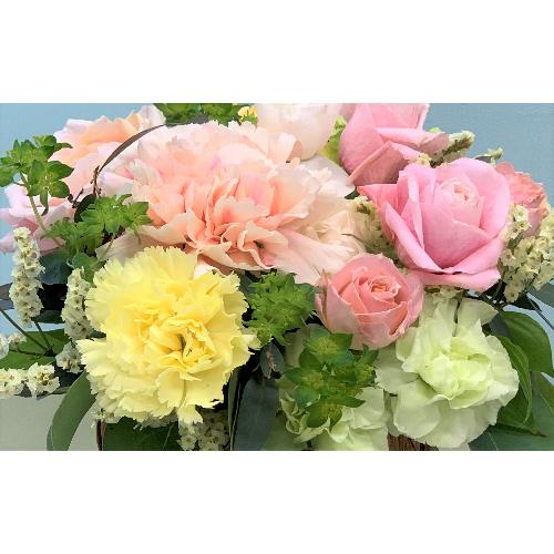 �y�h�V�̓��ɂ������߁z�i�`�������A�����W�����g�`�C�G���[�E�I�����W�`3