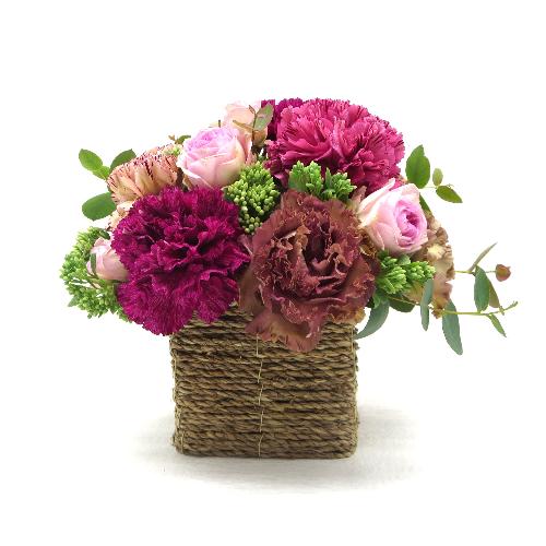 Fleur sereine��t���[���X���[�k��yS�z