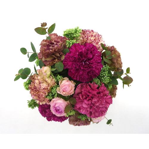 Fleur sereine��t���[���X���[�k��yS�z2