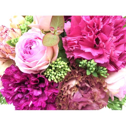 Fleur sereine��t���[���X���[�k��yS�z3