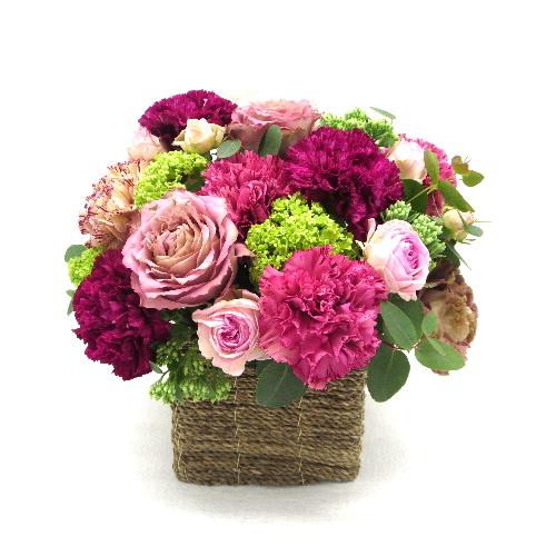 Fleur sereine��t���[���X���[�k��yL�z
