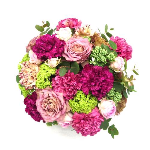 Fleur sereine��t���[���X���[�k��yL�z2