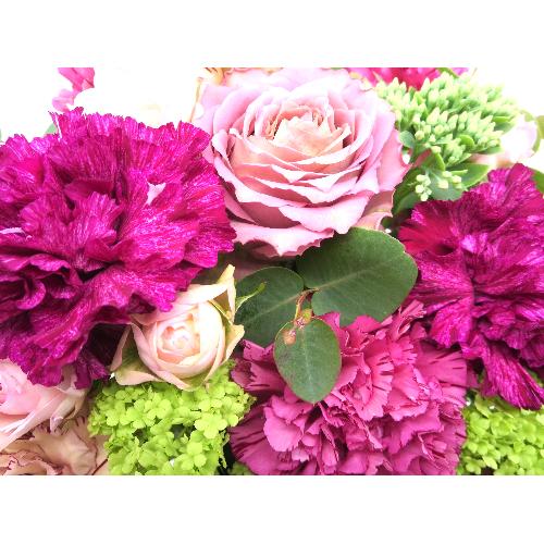 Fleur sereine��t���[���X���[�k��yL�z3