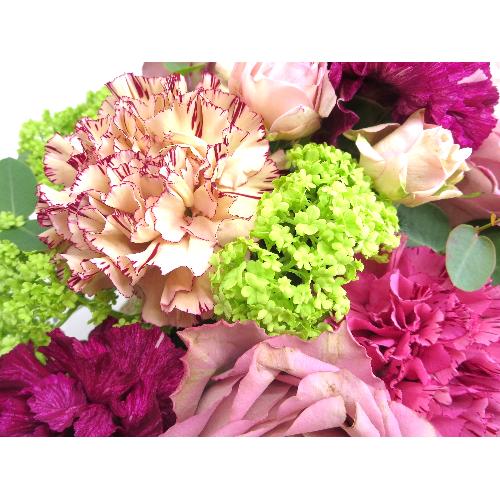 Fleur sereine��t���[���X���[�k��yL�z4