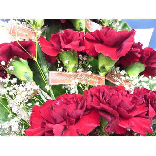 Thanks bouquet-���Ԃɑ�����-�yRED�z4