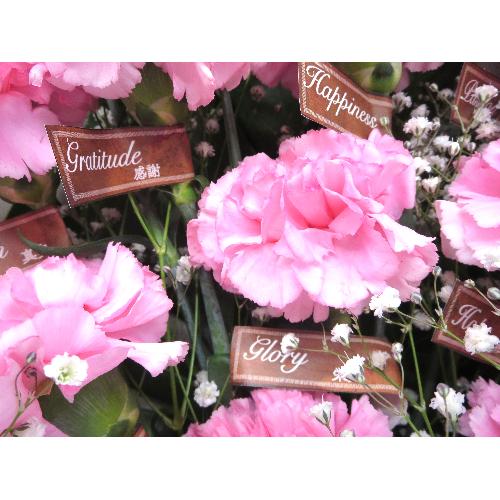 Thanks bouquet-���Ԃɑ�����-�yPINK�z4