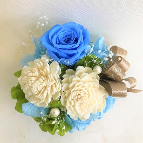 �u���[�n�v���U�[�u�h�t�����[������3