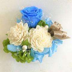 �u���[�n�v���U�[�u�h�t�����[������