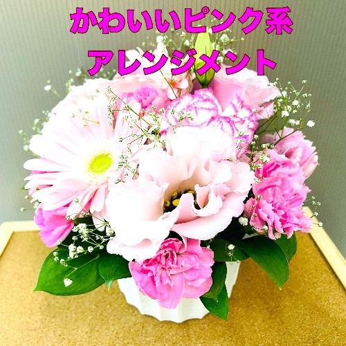 ���킢���s���N�n�A�����W�����g�B