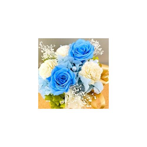 �v���U�[�u�h�t�����[�@�{�����[���̂���u���[�n�̔�����2