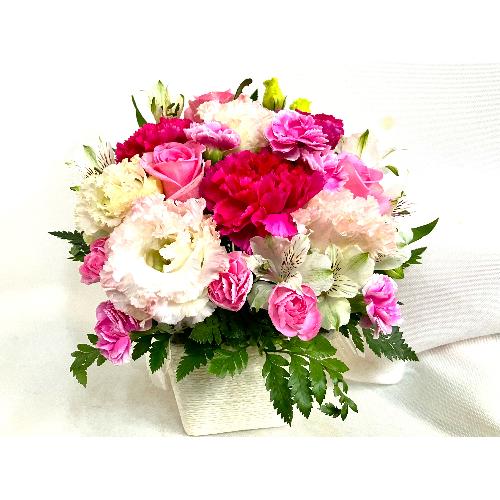 �s���N�n�A�����W�����g�i�����s���N�n�Z�W�Ō�j�Ƀs�b�^���j�B