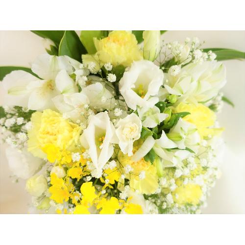 ���^�Ȕ����S�ɒW�����F�̌䋟�A�����W�����g�B3