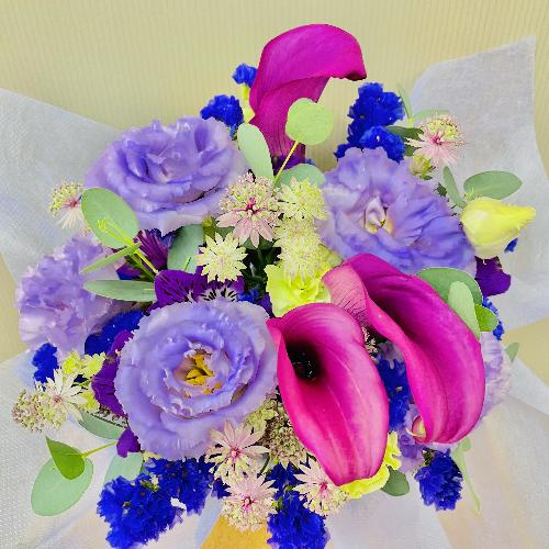 ���D���ɂ͂��܂�܂���I���p�[�v���o�C�I���b�g�A�����W�����g2