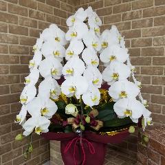 �y�㋉�Y�n����z�Ӓ������R�{�����@�y�O�≀�|�E�r�ؗm���z
