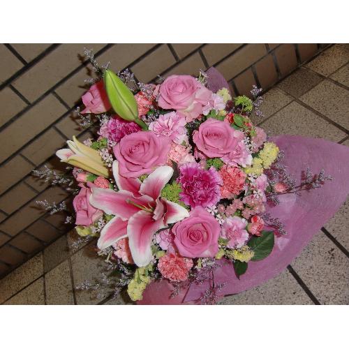 �I���G���^�������[���K�N�̃A�����W�����g
