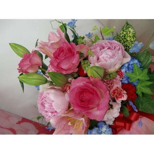�I���G���^�������[���K�N�̃A�����W�����g2