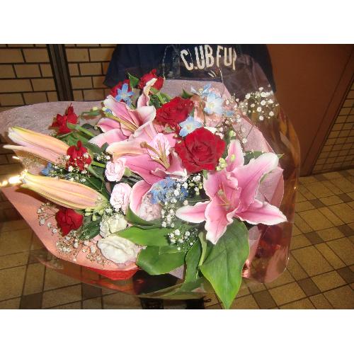 �X���I�X�X���@�I���G���^�������[���K�N�̉ԑ�