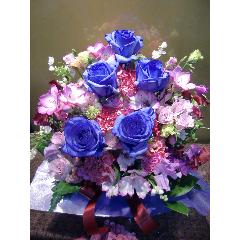 �u���[���[�Y�ƁA�J�[�l�[�V�����̃A�����W�����g