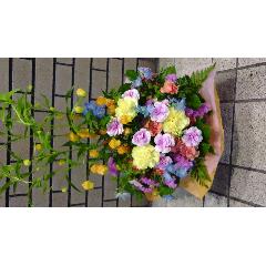 �T���_�[�\�j�A�̃p�X�e���E�A�����W�����g