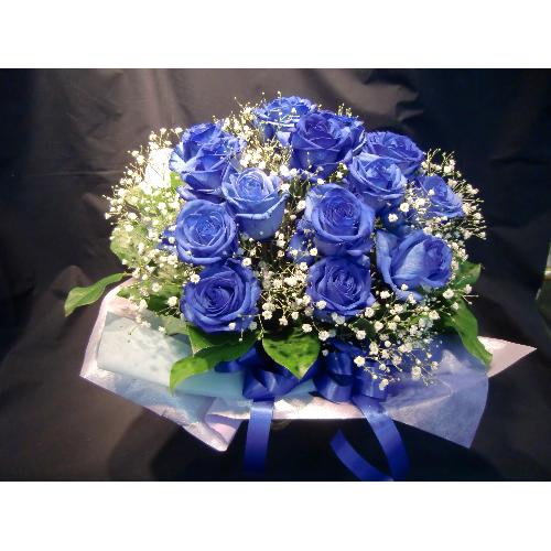 �u���[���[�Y�̃A�����W�����g2