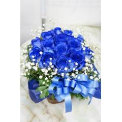 �u���[���[�Y�̃A�����W�����g