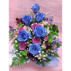 �u���[���[�Y�ƁA�J�[�l�[�V�����̃A�����W�����g