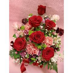 �o���ƃJ�[�l�[�V�����̃A�����W�����g