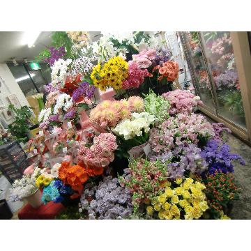 �X�ܓ��ω摜