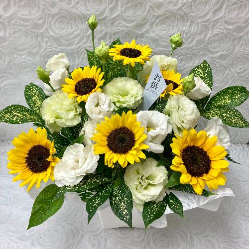 �䋟�E�q�}�����ƃg���R�L�L���E�̃A�����W2