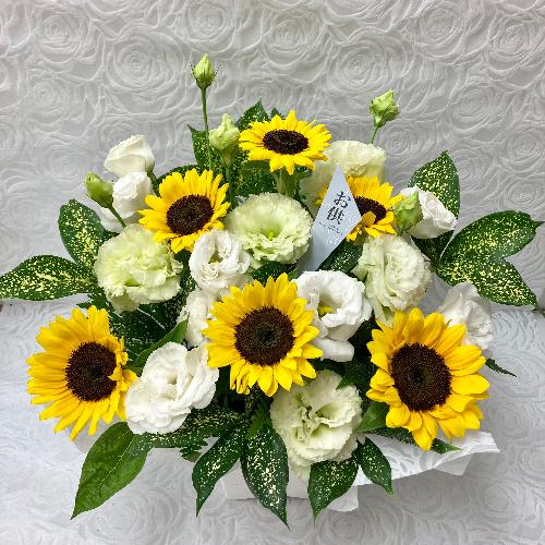 �䋟�E�q�}�����ƃg���R�L�L���E�̃A�����W3