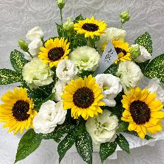 �䋟�E�q�}�����ƃg���R�L�L���E�̃A�����W