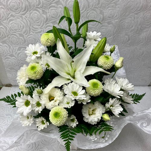 �䋟�E�z���C�g�A�����W�@��������
