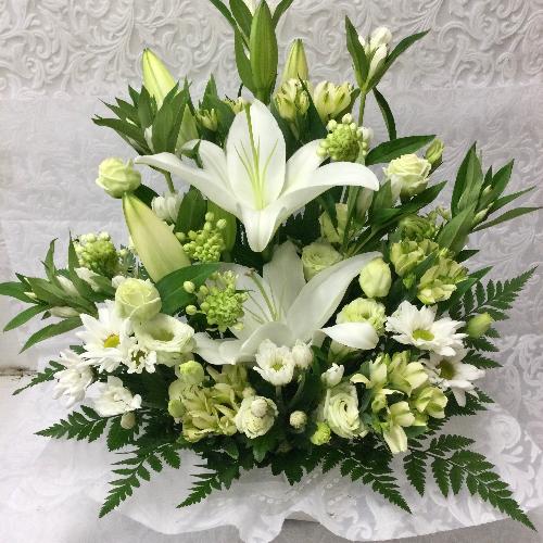 �䋟�E�z���C�g�A�����W�@��������2
