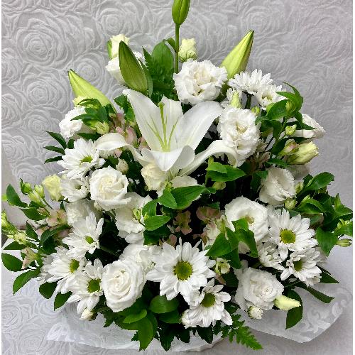 �䋟�E�z���C�g�A�����W�@��������3