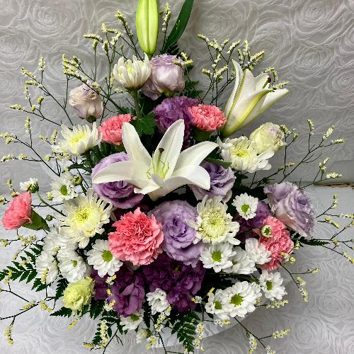 �G���K���X�Ȃ������A�����W2