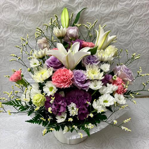 �G���K���X�Ȃ������A�����W3