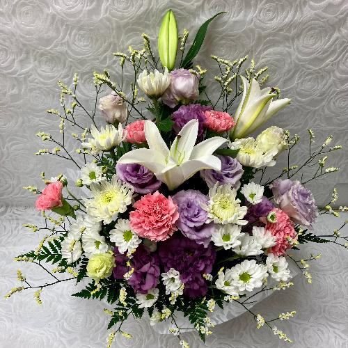 �G���K���X�Ȃ������A�����W4