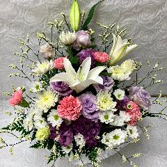 �G���K���X�Ȃ������A�����W