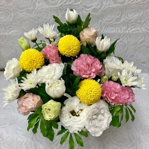 �e�ƃg���R�L�L���E�̃A�����W2