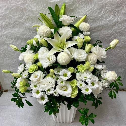 �G���K���g�Ȃ������A�����W
